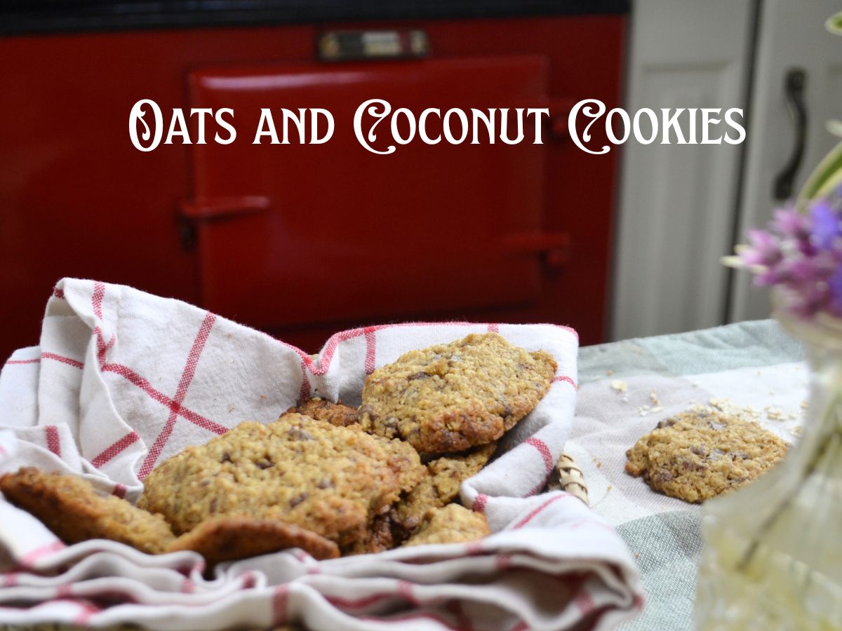 Oat and coconut cookies on a basket and one in the table and a red cooker on the background