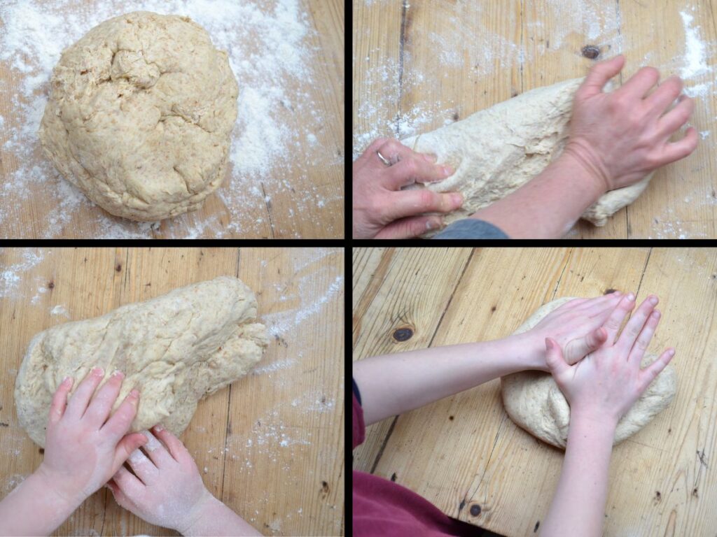 Bread dough, and hands kneading bread dough.