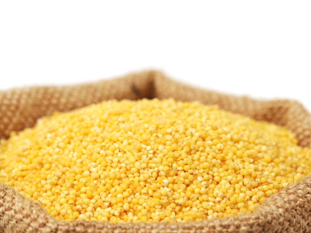 Millet grain