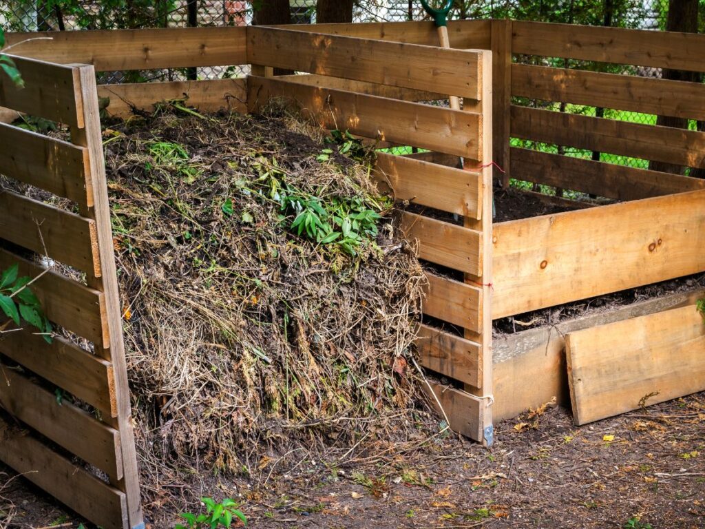 a compost pile ina a box