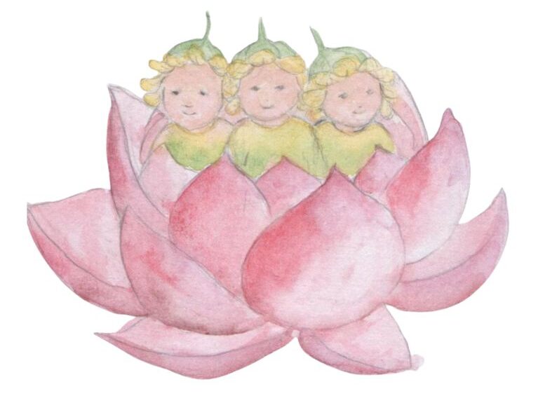 My little flower buds