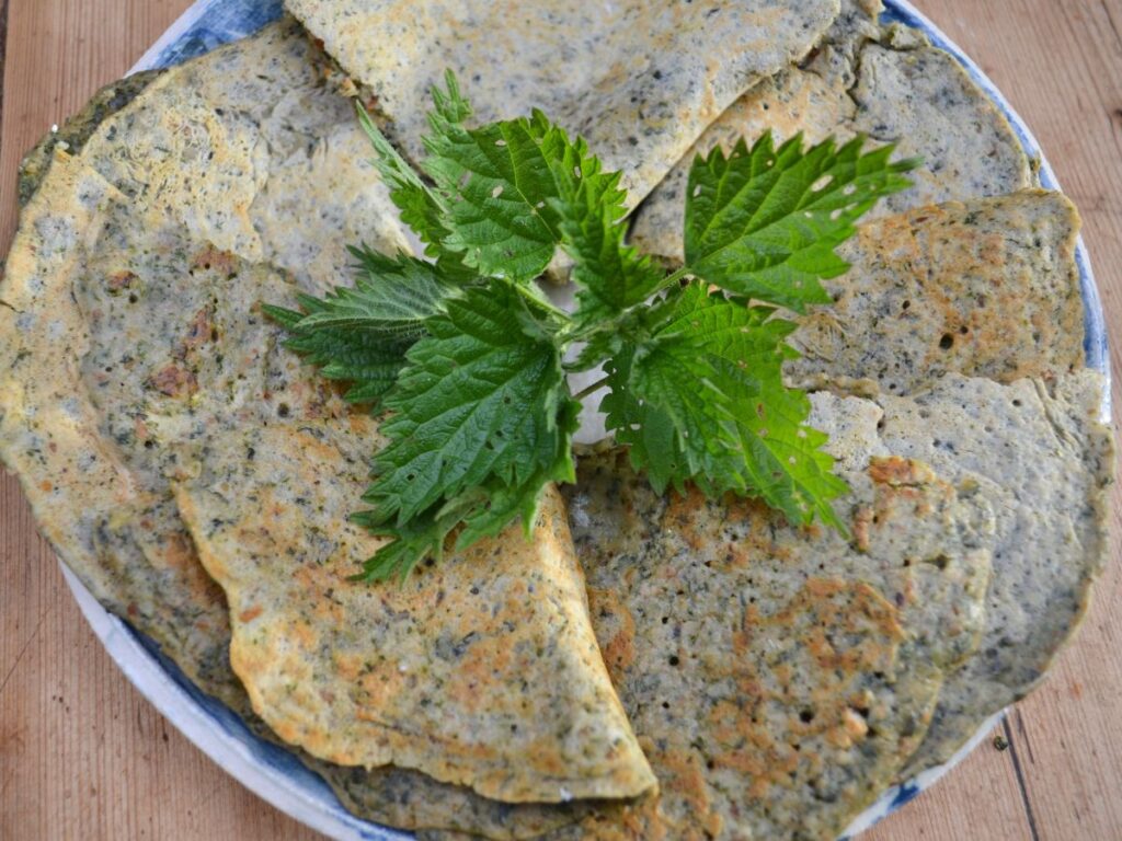 Nettle Pancakes arranged on a plate with a nettle plant in the middle.
