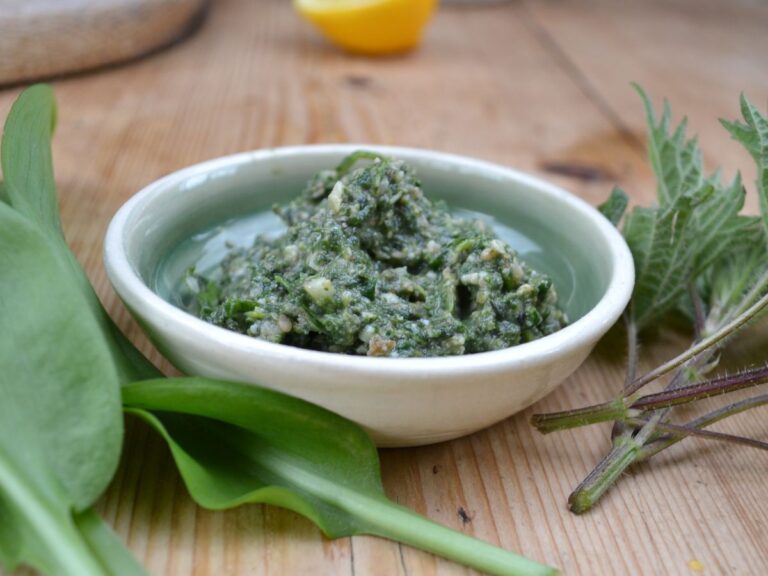 wild garlic and stinging nettles pesto