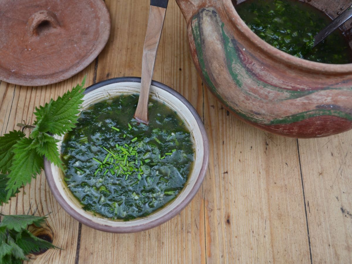 A bowl of miso nettle soup