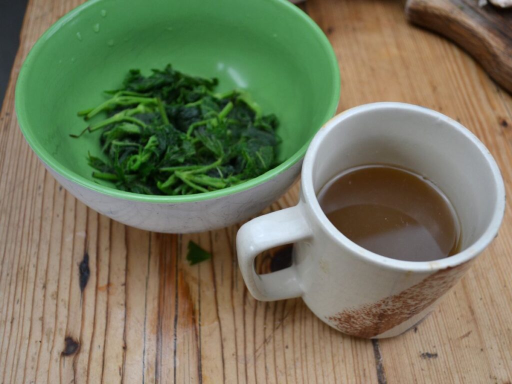 A bowl with blanch stinging nettles and a cup with the stock.