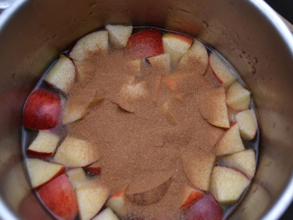 A saucepan with cut apples, water, and cinnamon.
