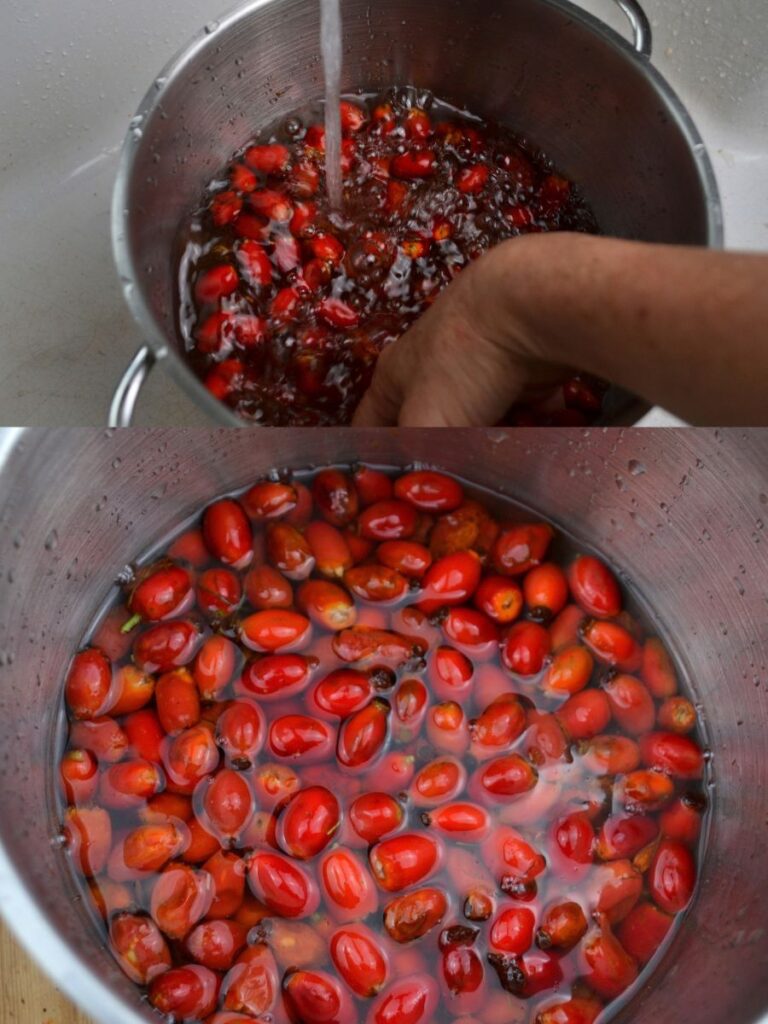 A pot full of rosehips and water and a hand Wasing Rosehips on a pot.